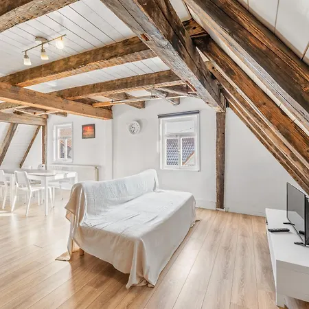 Handwerkeratelier Apartment Frickenhausen (Baden-Wurttemberg)
